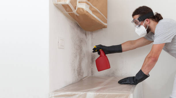 Professional Attic Mold Remediation technician working in Harrison, MI
