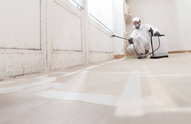 24/7 Emergency Attic Mold Remediation experts in Harrison, MI