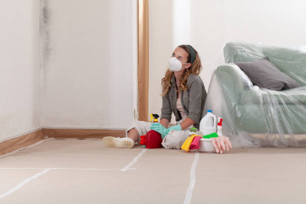 Reliable Attic Mold Remediation contractor in Harrison, MI by Car Mold Remediation
